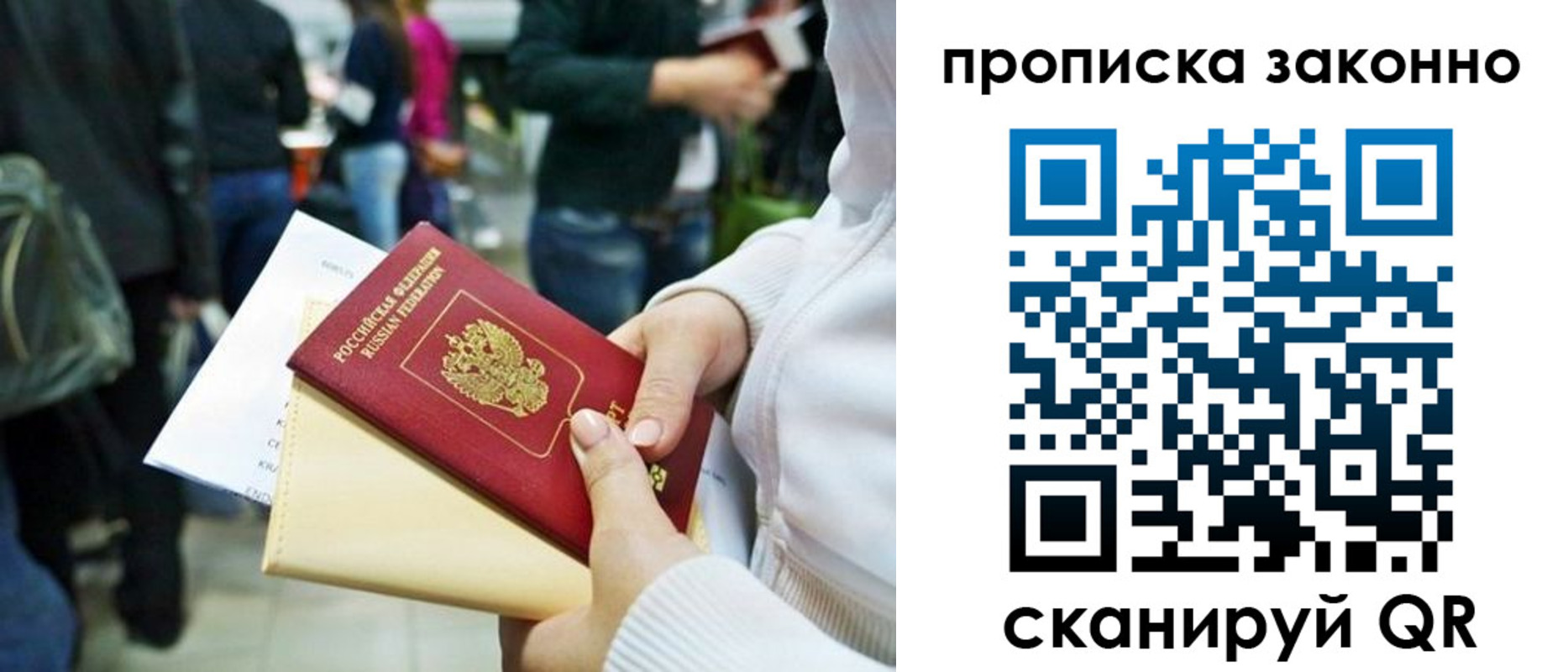 прописка поиск в Ростове